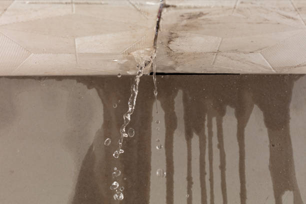 Professional Water Damage Repair technician working in East Rutherford, NJ